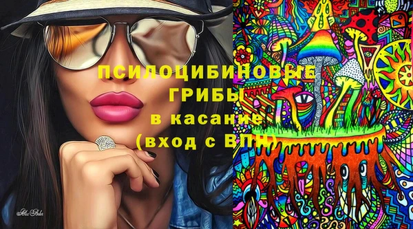 гидропоника Абаза