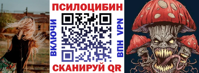 Псилоцибиновые грибы GOLDEN TEACHER  Тайга 